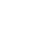 alfa-akademija-ikone-02